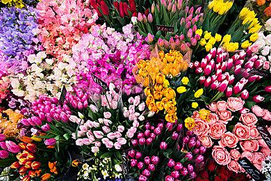 开发商招募格斗游戏经验开发者 《真人快打12》或将启动